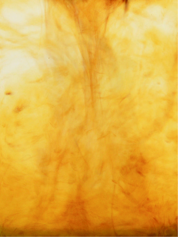 AMBRE amber vanilla wash, warm amber tones