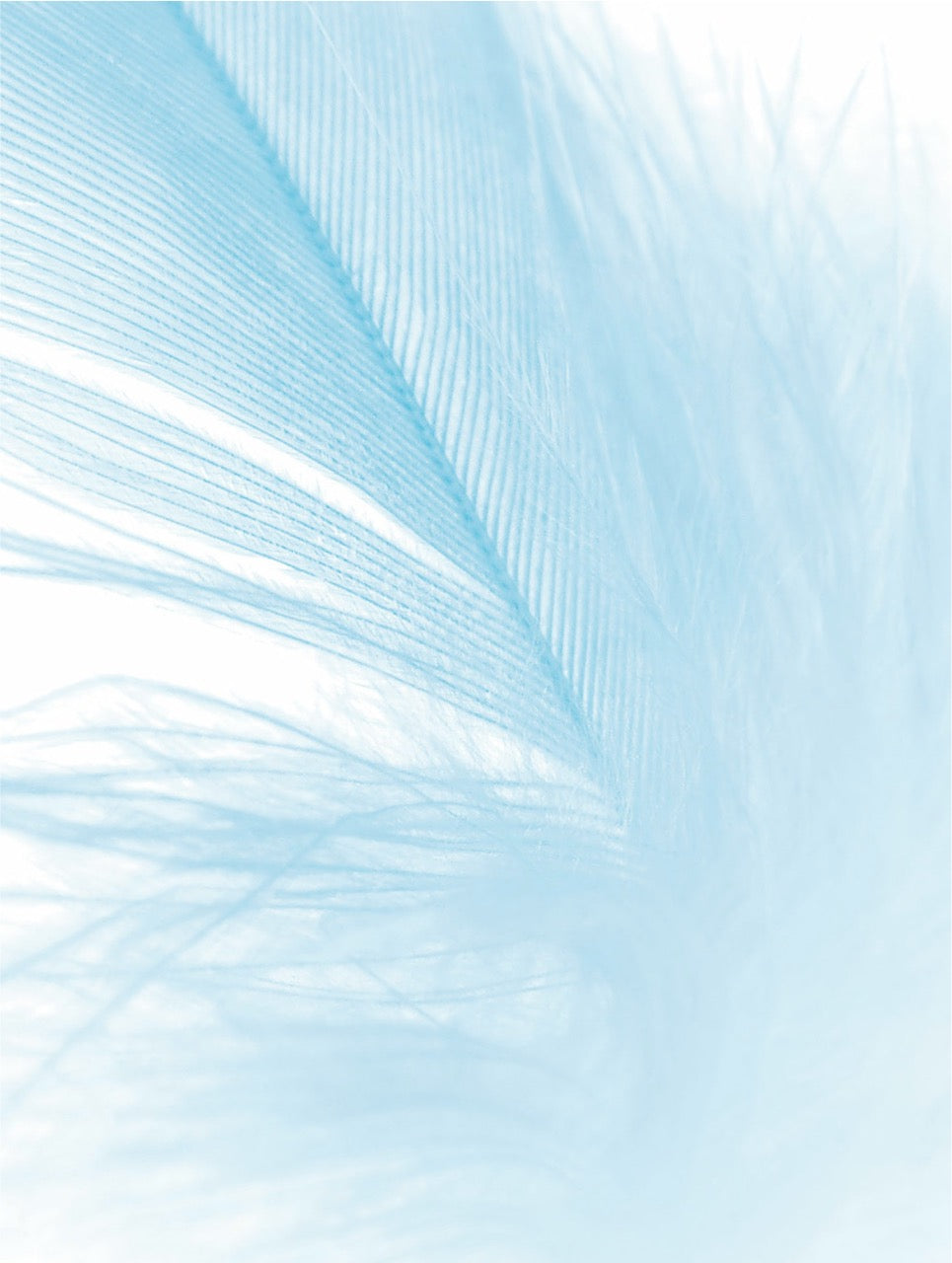 SERENE sensitive skin moisturizer, feather-light finish